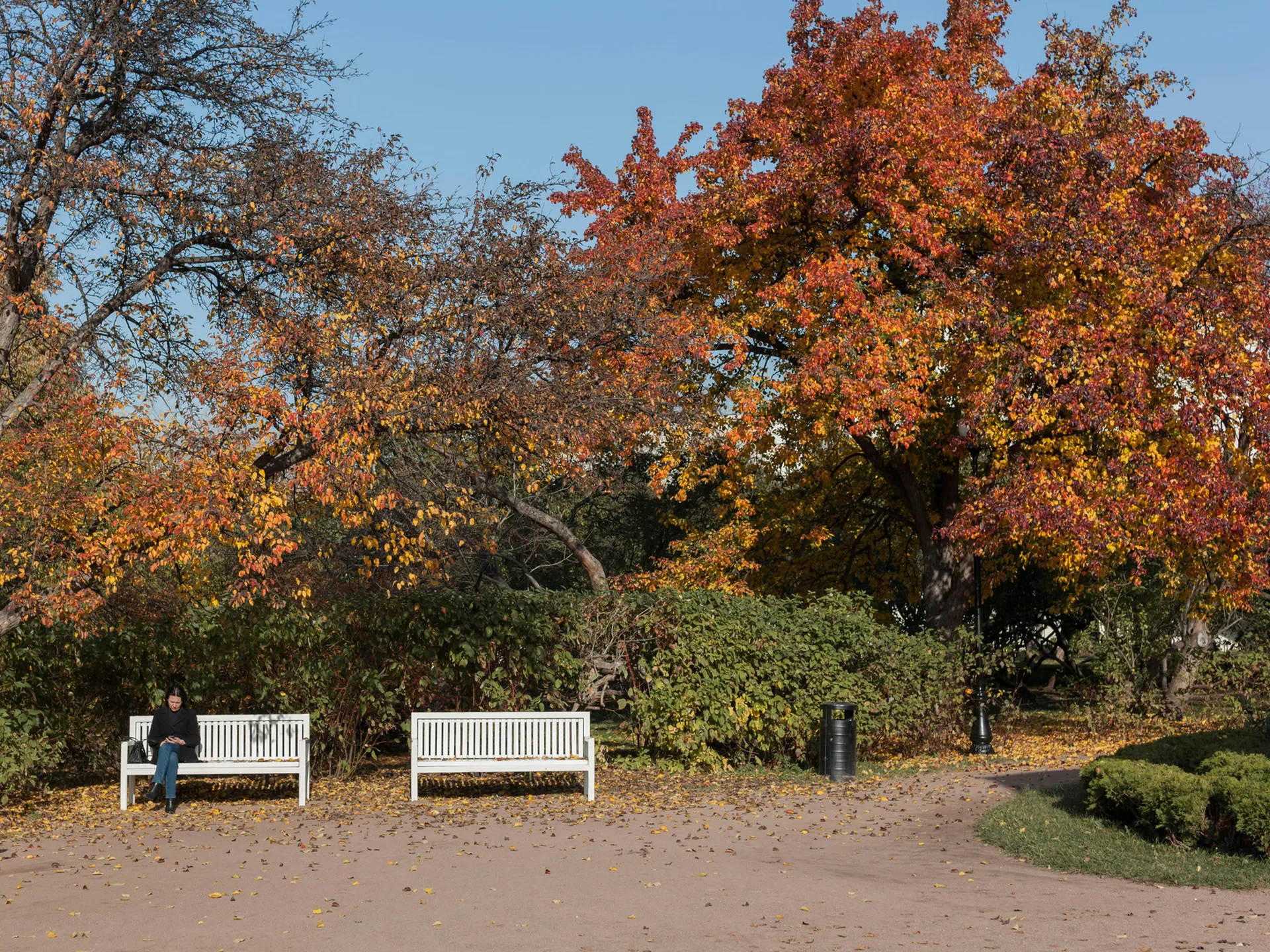 From Summer Sun to Fall Fun-Refresh Your Landscape Before the Seasons Change