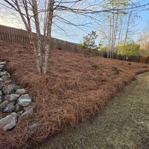 Pine Straw For Sale, Delivery, & Installation Near Me in Birmingham Hoover Alabaster Chelsea Helena Pelham & Calera - Pine Straw Heroes