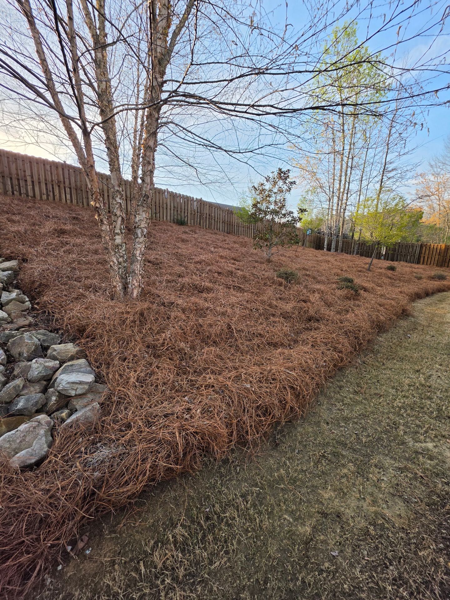 Pine Straw For Sale, Delivery, & Installation Near Me in Birmingham Hoover Alabaster Chelsea Helena Pelham & Calera - Pine Straw Heroes