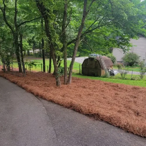 Pine Straw Heroes - Pine Straw & Mulch for Sale Near Me in Birmingham AL_06