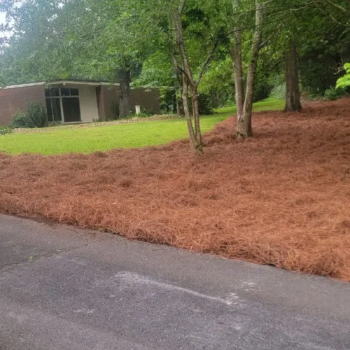 Pine Straw Heroes - Pine Straw & Mulch for Sale Near Me in Birmingham AL_07