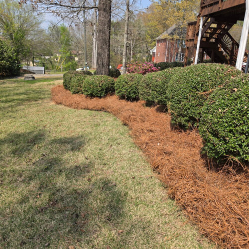Top Quality Affordable Best Priced Pine Straw Delivered & Installed in Alabaster Hoover Pelham Shoal Creek & Chelsea by Pine Straw Heroes